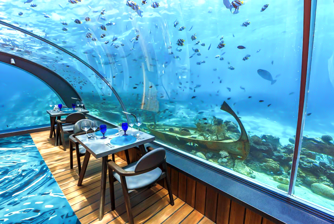Under water restaurant while a school of fish swim by 